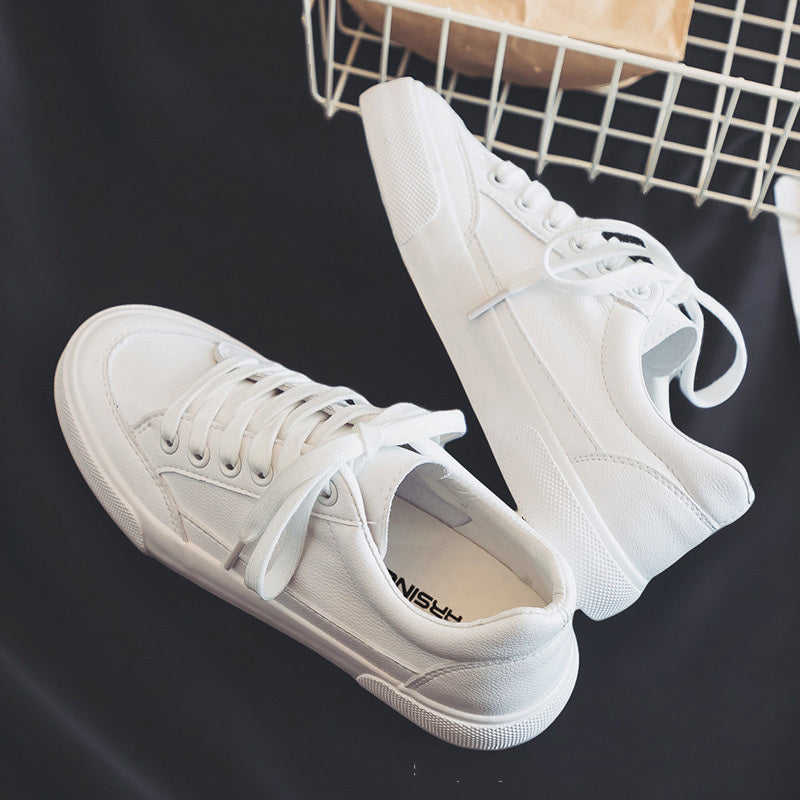 Daryl - Sneakers | Everyday Trainers for Women
